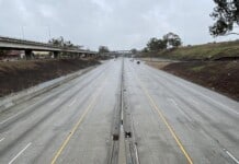 Nature Is Bouncing Back During the Coronavirus Crisis—but for How Long?