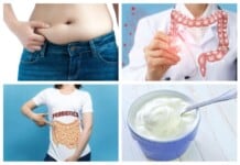 Can Probiotic Foods Help you Lose Weight and Tummy Fat?