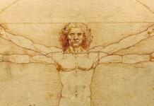 How To Build Your Own Workout Routine: Plans, Schedules, and Exercises