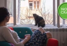 Podcast: Quarantine and Declining Mental Health